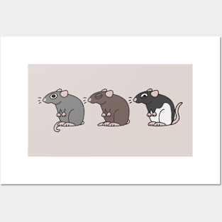 pet rats Posters and Art